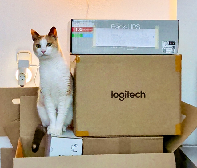 Ultimate mouse hunter