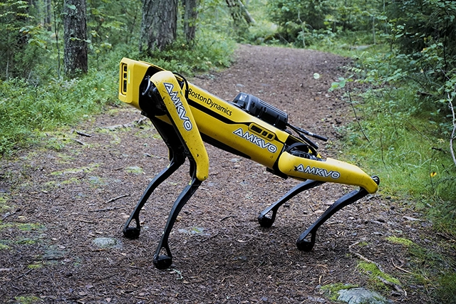 Robot by Boston Dynamics
